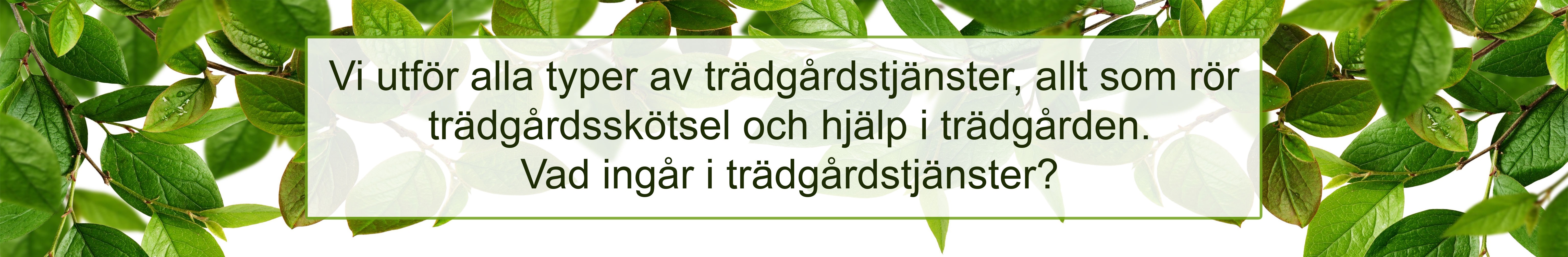 Trädgårdstjänster