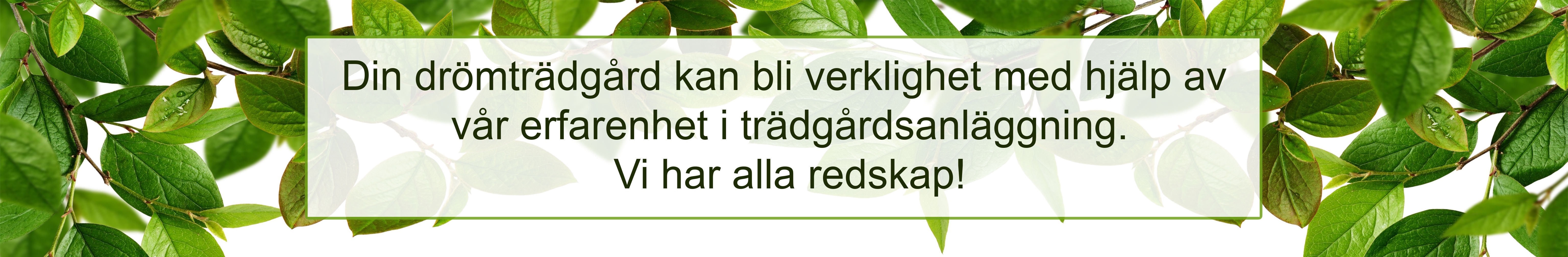 Trädgårdsanläggning